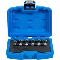 BGS Injektor-Verschlussstopfen-Satz 12tlg. - 9540 von BGS TECHNIC