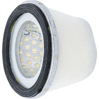 Bgs Technic - bgs Ersatz-Luftfilter für Sandstrahlkabine für Art. 8717 - 8717-4 von BGS TECHNIC
