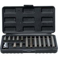 Bgs Technic - Bit-Satz Antrieb Außensechskant 10 mm (3/8') T-Profil (für Torx) 15-tlg. von KRAFTMANN