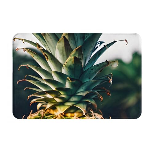Be A Ananas-Druck, ultradünne Fußmatte, Teppich, perfekt für Haustür, Hintertür, Terrasse und Eingangsbereich von BGSHJVF