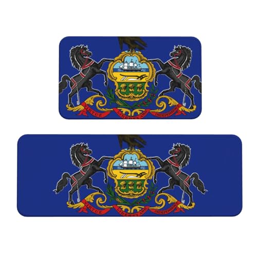 Küchenmatten mit Pennsylvania-Staatsflaggen-Druck, waschbar, Küchenteppich, 2er-Set, für Heimdekoration, Küchenzubehör von BGSHJVF