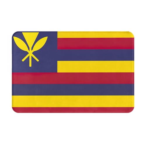 Ultradünne Fußmatte mit Flagge des Königreichs Hawaii, perfekt für Haustür, Hintertür, Terrasse und Eingangsbereich von BGSHJVF