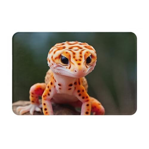 Ultradünne Fußmatte mit Leoparden-Gecko-Druck, perfekt für Innentür, Hintertür, Terrasse und Eingangsbereich von BGSHJVF