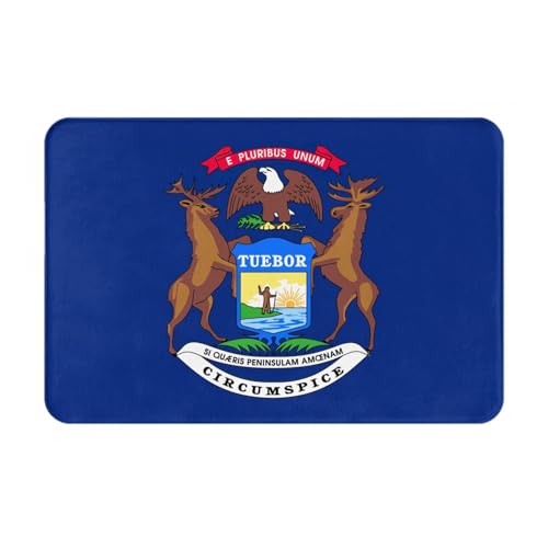 Ultradünne Fußmatte mit Michigan-Staatsflagge, perfekt für Haustür, Hintertür, Terrasse und Eingangsbereich von BGSHJVF