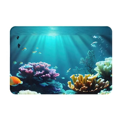Ultradünne Fußmatte mit Unterwasserlandschaft, perfekt für Haustür, Hintertür, Terrasse und Eingangsbereich von BGSHJVF