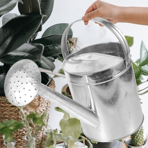BHKERUZ Metall Gießkanne Aus Edelstahl Für Garten Und Zimmerpflanzen Mit Langem Ausguss Und Brauseaufsatz Praktische Bewässerungskanne Für Blumen Und Topfpflanzen,18L BHKERUZ Metall Gießkanne Aus Edelstahl Für Garten Und Zimmerpflanzen Mit Langem Ausguss Und Brauseaufsatz Praktische Bewässerungskanne Für Blumen Und Topfpflanzen,18L von BHKERUZ