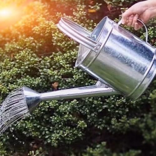 BHKERUZ Verzinkte Gießkanne Aus Metall Gartenspritze Mit Brauseaufsatz Und Extra Langem Tülle Für Garten Balkon Zimmerpflanzen Indoor Outdoor Bewässerung,10L BHKERUZ Verzinkte Gießkanne Aus Metall Gartenspritze Mit Brauseaufsatz Und Extra Langem Tülle Für Garten Balkon Zimmerpflanzen Indoor Outdoor Bewässerung,10L von BHKERUZ