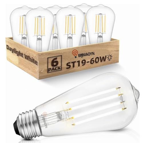 BHMAOYN 12V 24V LED E27 ST64 Glühbirne,6W=60W Niederspannung Glühlampen DC24V Antik Retro E27 LED Lichter,Kaltweiß 5000K Für Sonnensystem,Wohnmobil Wohnmobil Marine,6er Pack von BHMAOYN