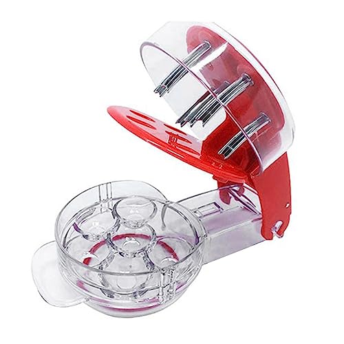 BHOLI Cherry Pitter, Multi Cherry Pitter Tool, Eco-Friendly Cherry Stoner with Detachable Base Portable Cherry Stone Remover Multifunctional Olive Pitter for Picnic, Home and Kitchen von BHOLI