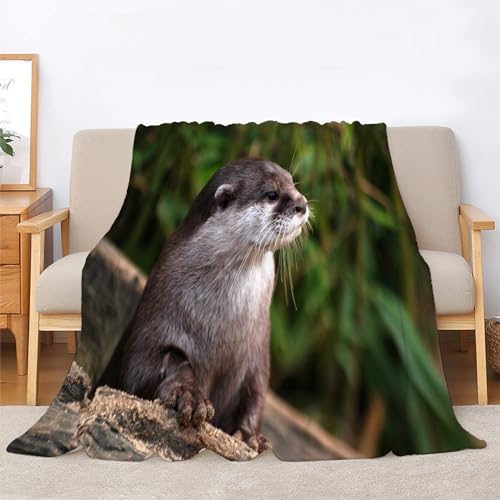 Kuscheldecke Flauschig Fischotter Decke für Bett und Sofa, Tier Pflanzen Extra Weich Warme Mikrofaser Wohndecke Fleecedecke als Sofadecke Couchdecke 200x200 von BIAFRA