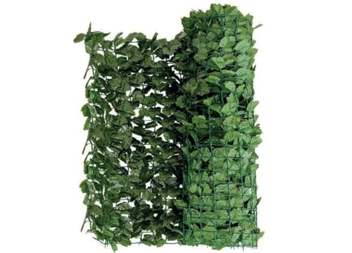 BIANCHERIAWEB 3 m Efeu, immergrün, Hecke, dekorativ, Sichtschutz, blickdicht, für Zaun, 1,5 h, 3 m von BIANCHERIAWEB