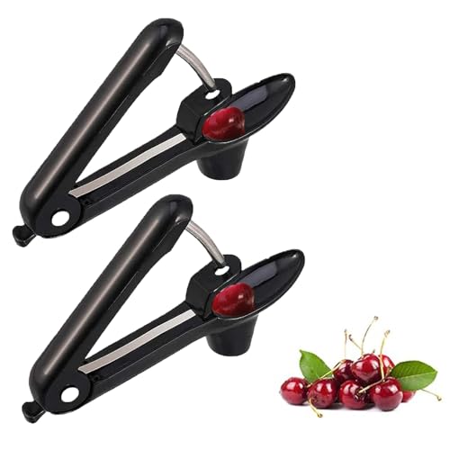2 Stück Kirschentkerner Entkerner,Edelstahl Kirschen Kirschentsteiner Entferner,Tragbarer Cherry Corer Pflückhilfe Kirschkernentferner Entkerne Pit Remover Tool für Obst Pflaumen Oliven Cherries von BIBITI