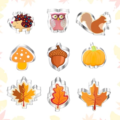 8 Stück Ausstechformen Herbst,Erntedankfest Blätter Igel Eichhörnchen Herbstblätter Kürbis Plätzchen Ausstecher Set,Backform Backen Ausstechform Keksausstecher für Thanksgiving Weihnachten Halloween von BIBITI