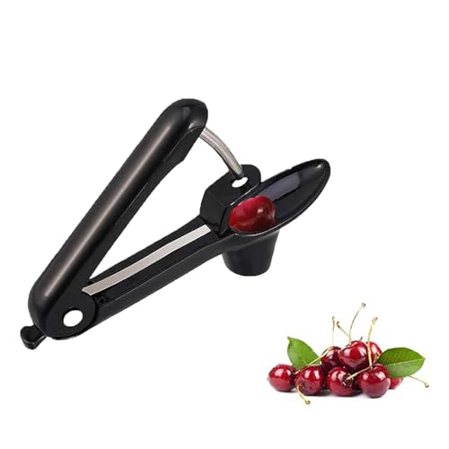 Kirschentkerner Entkerner,Edelstahl Kirschen Kirschentsteiner Entferner,Tragbarer Cherry Corer Pflückhilfe Kirschkernentferner Entkerne Pit Remover Tool für Obst Pflaumen Oliven Cherries(Schwarz) von BIBITI