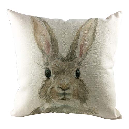 BIBOKAOKE Mode Ostern Dekorativ Kissenbezüge 45x45cm Zierkissenbezug Frühling Urlaub Kissenbezug Dekor für Sofa Couch Schlafzimmer Osterdekor Ostern Deko Hase Zierkissenbezüge, Einheitsgröße von BIBOKAOKE