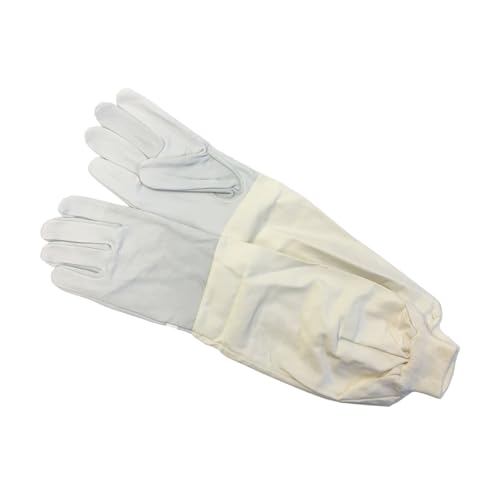 Imkerhandschuhe in allen Größen - Kinder S M L XL XXL - Imkerei Bienen Handschuh, S (7) von BIENE24.DE