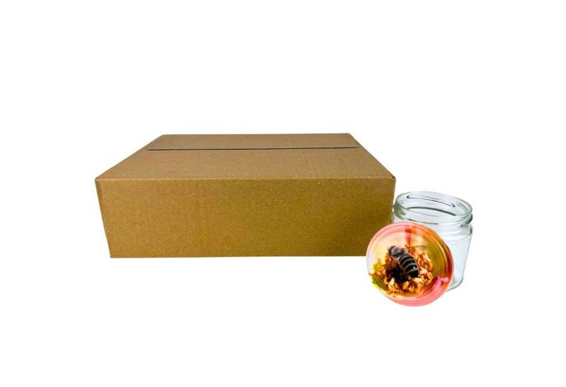 BIENEN SCHMIDT Honigglas 60x Twist Off Schraubglas 250g Imkerhonig Rundglas, (60 Stk), Einmachglas, Marmeladenglas, Sturzglas To 66 mm von BIENEN SCHMIDT