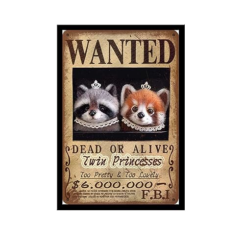 Metall-Blechschild mit Aufschrift "Twin Princesses Wanted", niedlich, hübsch und schön, für Café, Bar, Pub, Bierclub, Wand, Heimdekoration Metall-Blechschild mit Aufschrift "Twin Princesses Wanted", niedlich, hübsch und schön, für Café, Bar, Pub, Bierclub, Wand, Heimdekoration von BIMEL