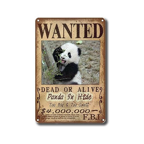 Panda in Hide Wanted Lustiges Metall-Blechschild Küche Vintage von BIMEL