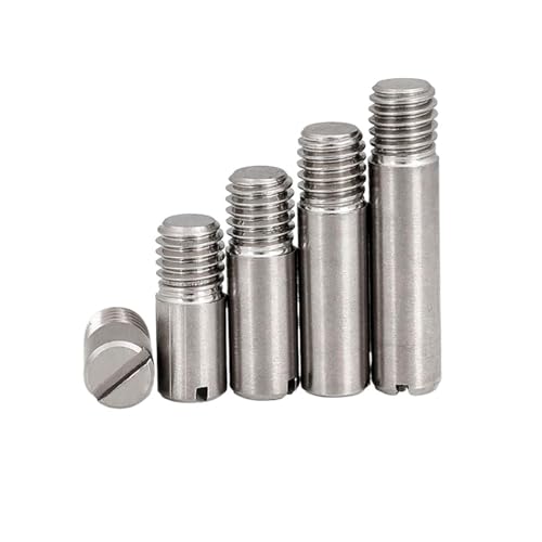 M2 M2.5 M3 M4 M5 M6 M8 M10 GB878 304 Edelstahl Außengewinde Zylindrische Fixposition Schaftrolle Passstift(10pcs M2,16mm) von BIMRTGXR