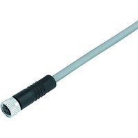 Binder 77 3406 0000 20004-0200 Sensor-/Aktor-Steckverbinder, konfektioniert Buchse, gerade 2m Polzah von BINDER