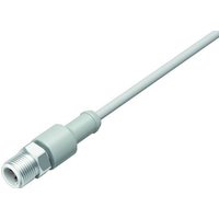 Binder 77 3729 0000 20405-0500 Sensor-/Aktor-Steckverbinder, konfektioniert Stecker, gerade 5m Polza von BINDER