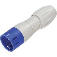 99 9133 462 12 Subminiatur-Rundsteckver Stecker, gerade Gesamtpolzahl: 12 1 St. - Binder von BINDER