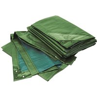 Abdeckplane rainexo, 150 g/m², 4x6 m, grün/blau von BIOGREEN