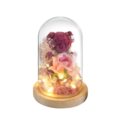 BIOSA Ewige, konservierte Blumen, Bär, süße Bärenblume, Rose, Glasabdeckung, Rose, hübscher Teddybär im Glas mit LED-Licht for Valentinstag, Muttertag, Geburtstag von BIOSA