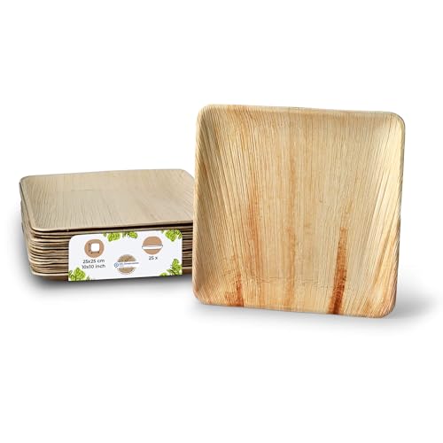 BIOZOYG Palmware Einwegteller aus Palmblatt, 25 Stück, eckig, 25x25 cm, Einweggeschirr kompostierbar - Alternative für Bambus Teller und Pappteller - Partygeschirr von BIOZOYG