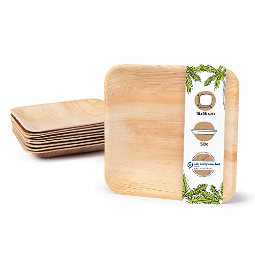 BIOZOYG Einwegteller 50 Stück 15x15 cm Palmblatt-Teller - Einweggeschirr kompostierbar - hochwertige Alternative für Bambus Teller und Pappteller - Partygeschirr von BIOZOYG