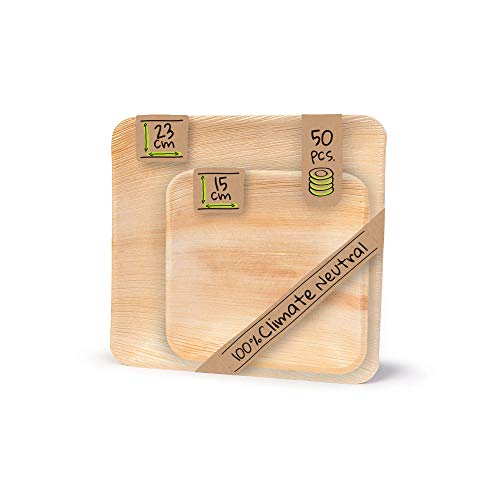 BIOZOYG Einwegteller Set 25 Stück, 23 x 23 cm & 15 x 15 cm - Palmblatt Teller quadratisch & kompostierbar - Einweg Partygeschirr, Alternative zu Plastiktellern, Grillpartys von BIOZOYG
