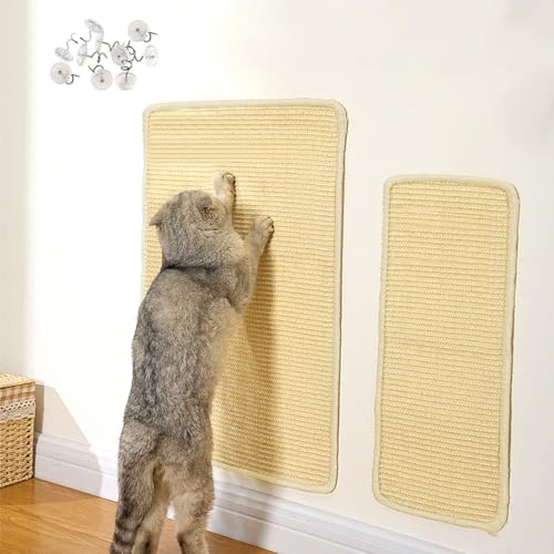 BIQIQI 2 Stück Katzenkratzmatte, 60 x 40cm und 50 x 25cm, rutschfeste, Robuste Natursisalmatte, schützt Teppiche und Sofas von BIQIQI
