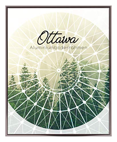 BIRAPA Aluminium Bilderrahmen Ottawa 24x30 cm in Champagner mit Antireflex-Kunstglasscheibe Posterrahmen Puzzlerahmen von BIRAPA