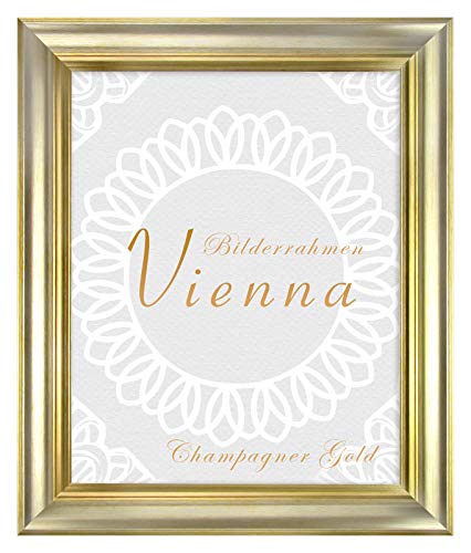 BIRAPA Bilderrahmen gold Vienna Rahmen 20x30 cm - Bilderrahmen vintage in Champagner Gold, Bilderrahmen Holz mit Zierleiste innen und außen, Fotorahmen, Holzrahmen von BIRAPA
