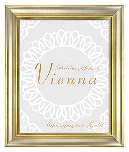 BIRAPA Bilderrahmen gold Vienna Rahmen 29,7x42 cm - Bilderrahmen vintage in Champagner Gold, Bilderrahmen Holz mit Zierleiste innen und außen, Fotorahmen, Holzrahmen von BIRAPA