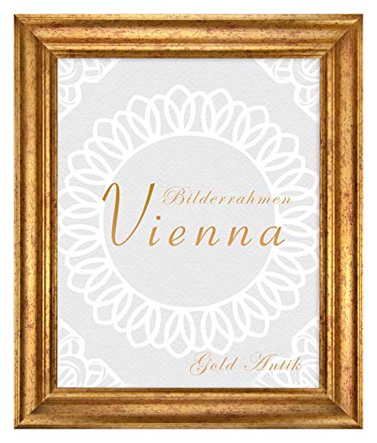 BIRAPA Bilderrahmen gold Vienna Rahmen 20x25 cm - Bilderrahmen vintage in Gold Antik, Bilderrahmen Holz mit Zierleiste innen und außen, Fotorahmen, Holzrahmen von BIRAPA