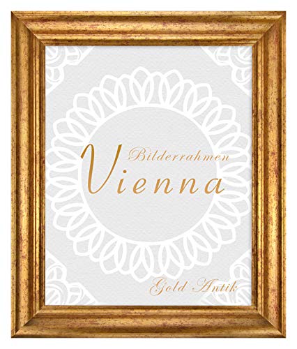 BIRAPA Bilderrahmen gold Vienna Rahmen 21x29,7 cm - Bilderrahmen vintage in Gold Antik, Bilderrahmen Holz mit Zierleiste innen und außen, Fotorahmen, Holzrahmen von BIRAPA