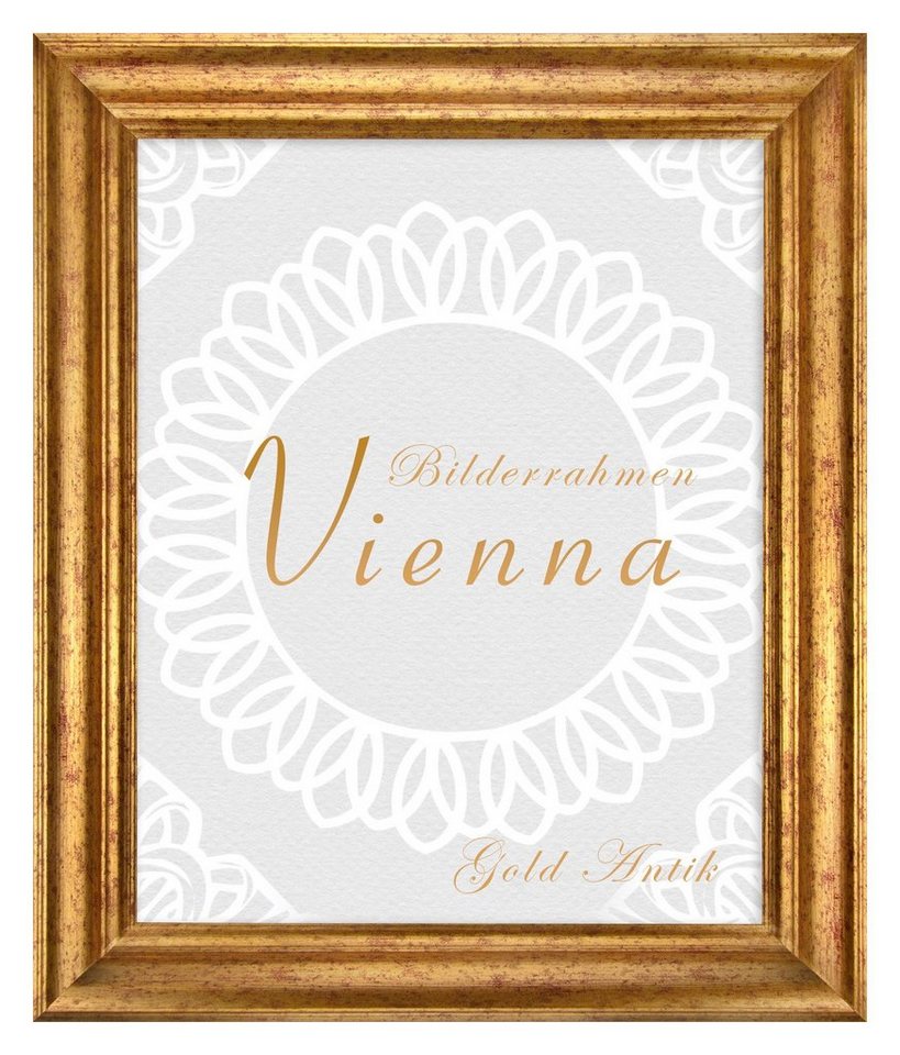 BIRAPA Einzelrahmen Bilderrahmen Vienna, (1 Stück), 60x90 cm, Gold Antik, Holz von BIRAPA