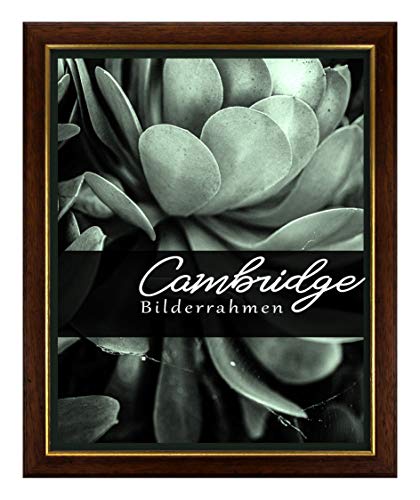 Holz Bilderrahmen Cambridge 40x50 cm in Nussbaum Gold mit Antireflex-Kunstglasscheibe von BIRAPA