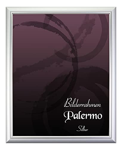 BIRAPA Palermo Bilderrahmen 40x50 cm Silber - Silberner Bilderrahmen, Bilderrahmen Antik, Bilderrahmen Vintage BIRAPA Palermo Bilderrahmen 40x50 cm Silber - Silberner Bilderrahmen, Bilderrahmen Antik, Bilderrahmen Vintage von BIRAPA