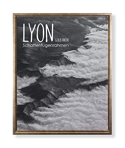 BIRAPA Lyon Keilrahmen für Canvas 20x20 cm in Gold Antik, Rahmen für Leinwände, Leerrahmen für Leinwand, Schattenfugenrahmen für Keilrahmen, Leinwand Rahmen von BIRAPA