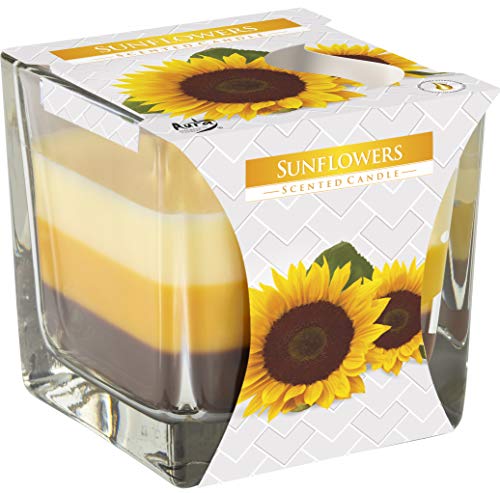BISPOL Dreifarbige Duftkerze, quadratisches Glas, Duft: Sonnenblumen, 32 Stunden Brenndauer von BISPOL