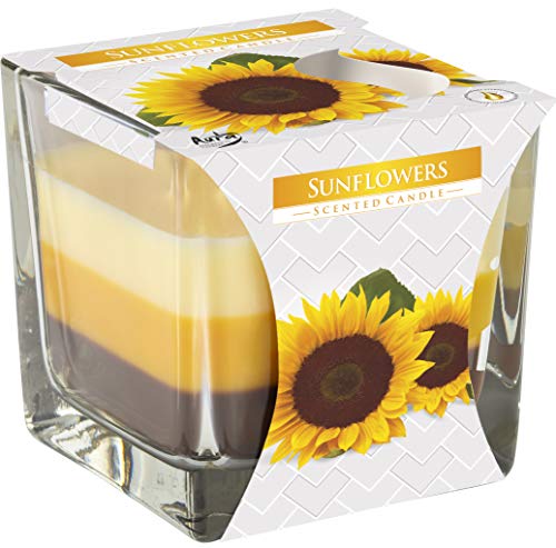 BISPOL Dreifarbige Duftkerze, quadratisches Glas, Duft: Sonnenblumen, 32 Stunden Brenndauer BISPOL Dreifarbige Duftkerze, quadratisches Glas, Duft: Sonnenblumen, 32 Stunden Brenndauer von BISPOL