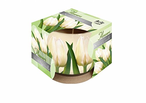 Bispol VELA VASO DECO PERFUMADA FLORAL von BISPOL