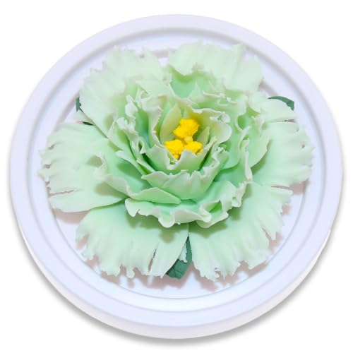 BITEYI Aroma Diffusor,Keramik Blumen Aromatherapie Diffuser Duftöldiffusoren für Schreibtisch,Umkleidebtisch und Schlafzimmer (Grün) von BITEYI