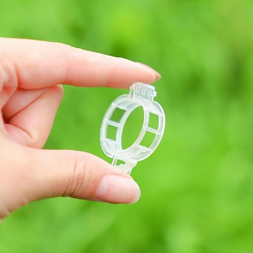 BITHAI 100 Stück Pflanzenclips, 30 * 9mm Gesicherter Pflanzen Kunststoff Clip, Tomatenclips Verbinden, Kunststoff Tomatenklammern, Pflanzenklammern Tomatenclips, Pflanzen Clips (Transparente) von BITHAI