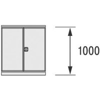 Bito Flügeltüren B 1000 mm x H 1000 mm, lichtgrau von BITO