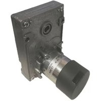 Bitron 357-AV.300 39700019 Getriebemotor MR330 24V 12W 13 U/min Bitron 357-AV.300 39700019 Getriebemotor MR330 24V 12W 13 U/min von BITRON