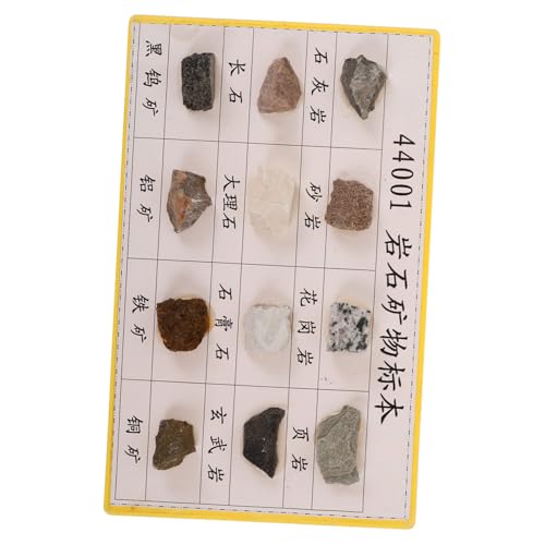 BIUDECO 12 Stck. Teiliges Mineralien Gesteinsproben mit sichtbarer für den Unterricht Klassenzimmer Labor Feldtest zur Sammlung und Ausstellung von Mineralproben BIUDECO 12 Stck. Teiliges Mineralien Gesteinsproben mit sichtbarer für den Unterricht Klassenzimmer Labor Feldtest zur Sammlung und Ausstellung von Mineralproben von BIUDECO